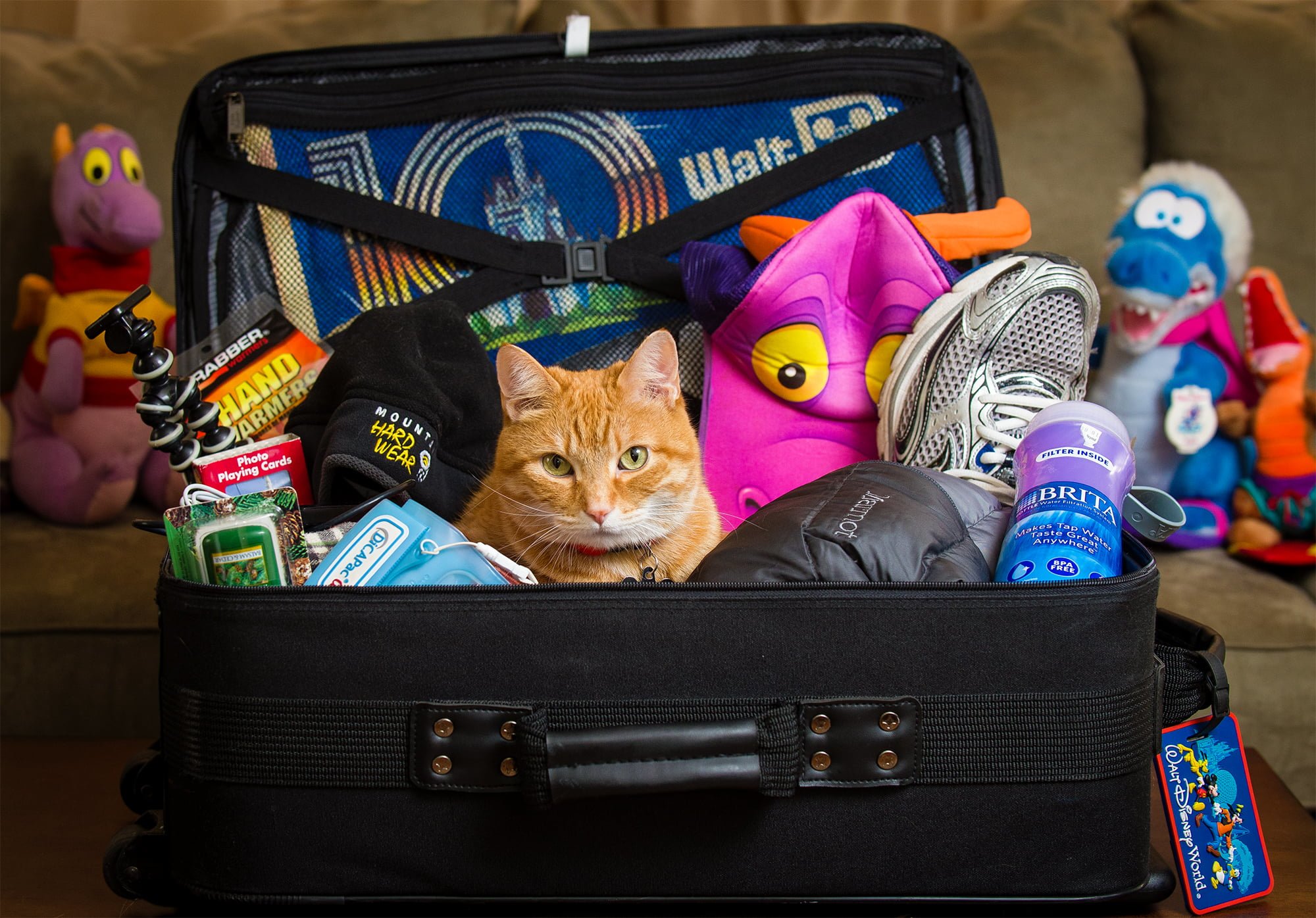 disney-packing-list A great packing list for Disney with unique items you probably wouldn't consider!
